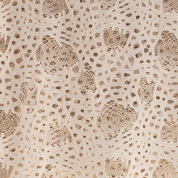 Zara Lace  Semi Crop Top - Picture 2 of 6
